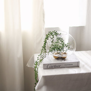 Vintage Round Transparent Glass Flower Vase