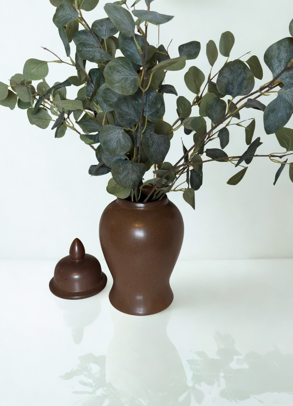 Brown vase with green leaves on a white background