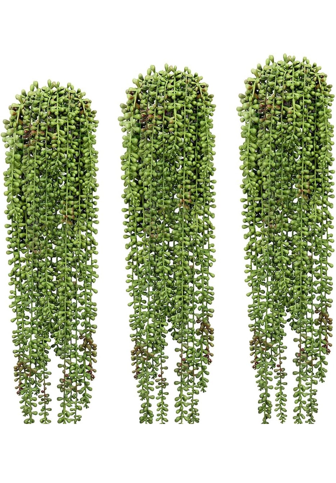 pearls hanging plant Artificial String of Pearls Plant 3 pieces – Royale One