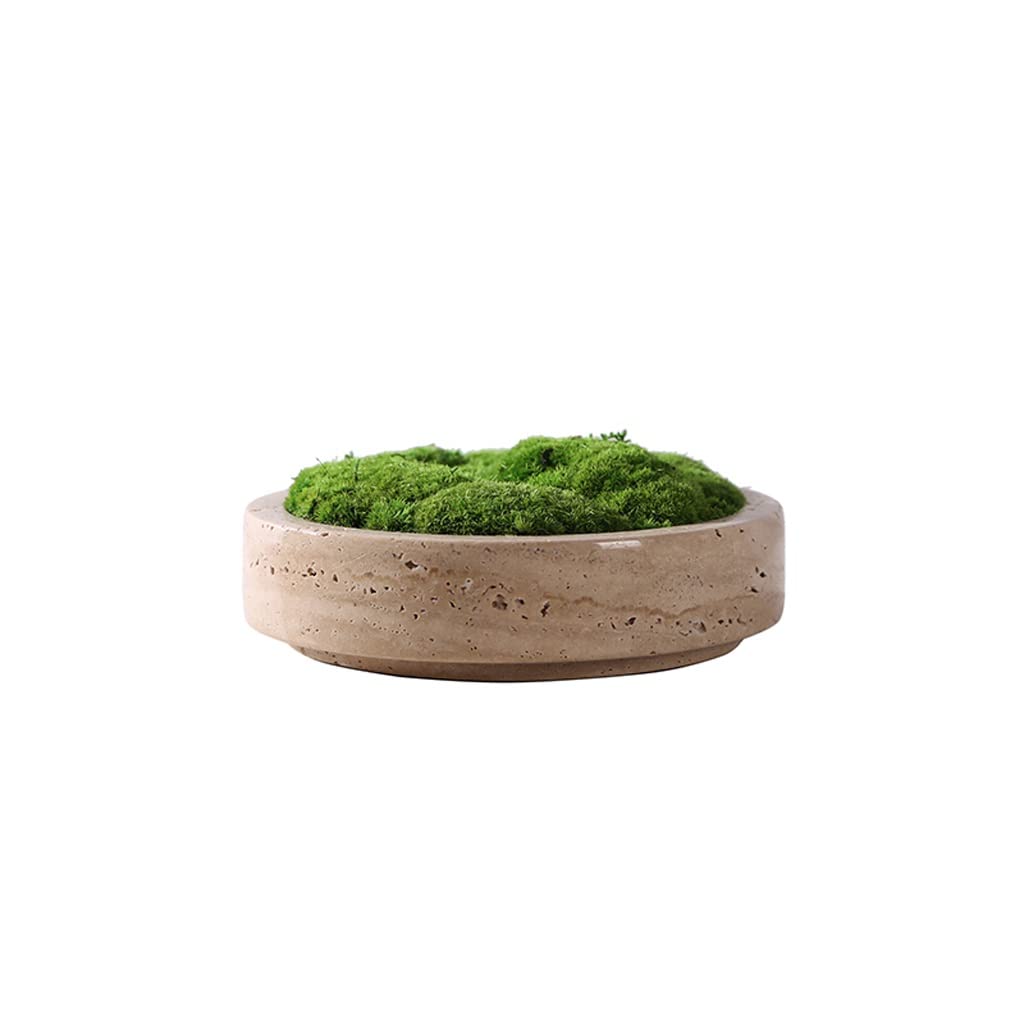 Modern Luxury Travertine Moss Garden Bowl