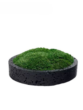 Modern Luxury Travertine Moss Garden Bowl