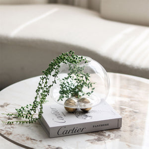 Vintage Round Transparent Glass Flower Vase